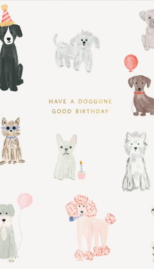 Doggone-Birthday  Image
